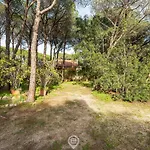 Seaside Pineta Retreat بولا