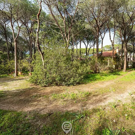 Seaside Pineta Retreat فيلة بولا