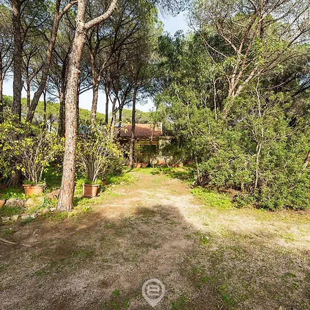 Seaside Pineta Retreat פולה